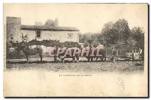 Ansichtskarte AK Folklore Le labourage en Auvergne