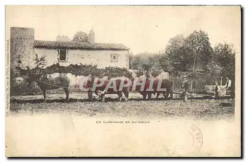 Cartes postales Folklore Le labourage en Auvergne
