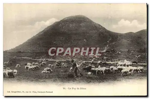 Ansichtskarte AK Folklore Le Puy de Dome Berger Moutons