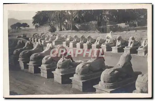 Cartes postales Egypt Egypte Egypt
