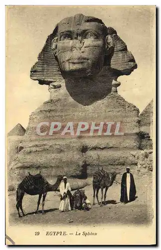 Cartes postales Egypt Egypte Egypte Le Sphinx