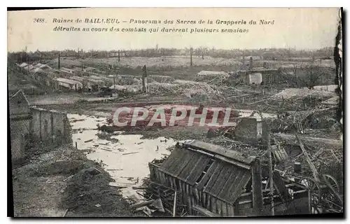 Cartes postales Militaria Ruines de Bailleul Panorama des serres de la Grapperie du Nord