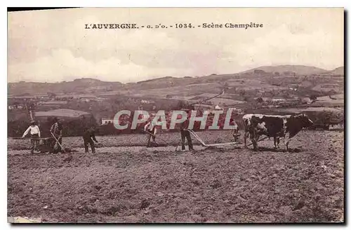Ansichtskarte AK Folklore L'Auvergne Scene Champetre Labour