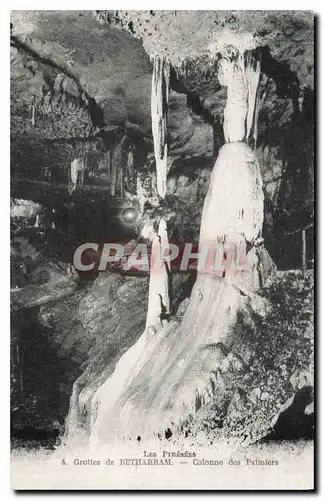 Ansichtskarte AK Les Pyrenees Grottes de Betharram Colonne des Palmiers