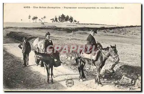 Ansichtskarte AK Folklore Une Scene champetre Paysanne montagnardes se rendant au marche Cheval TOP