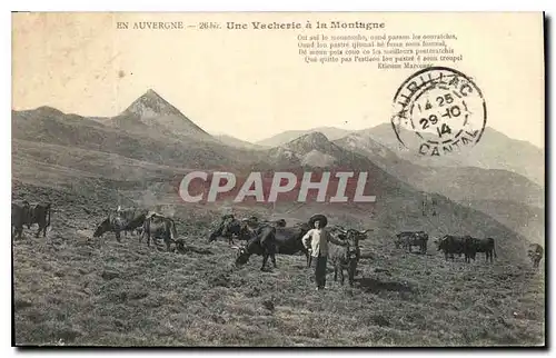 Cartes postales Folklore En Auvergne une vacherie dans le montagne