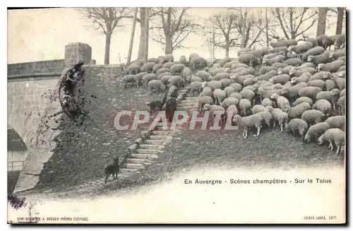 Cartes postales Folklore En Auvergne scenes champetres sur la Talus