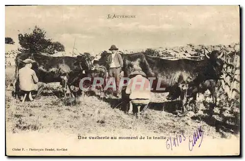Cartes postales Folklore L'Auvergne une vacherie au moment de la traite Vaches