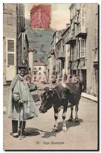 Cartes postales Folklore Type Auvergnat Vache TOP