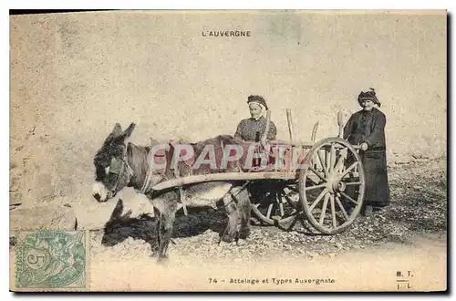 Cartes postales Folklore L'Auvergne Attelage et Types Auvergnate Ane Mule TOP