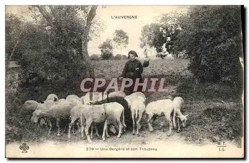 Cartes postales Folklore L'Auvergne Moutons Une bergere et son tropeau