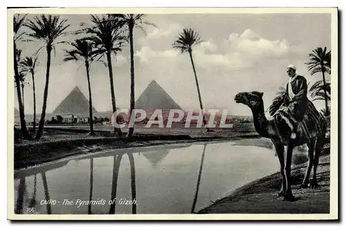 Ansichtskarte AK Egypte Egypt Cairo the pyramids of Gizeh