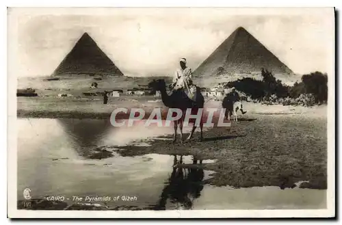 Ansichtskarte AK Egypte Egypt Cairo The Pyramids of Gizeh