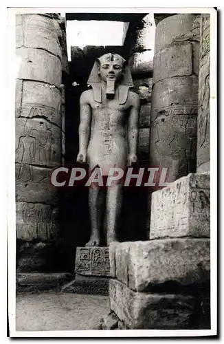 Ansichtskarte AK Photo Egypte Egypt