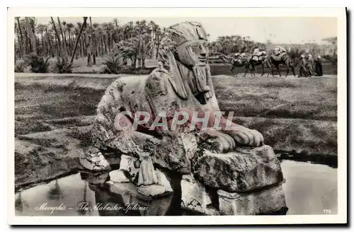 Cartes postales Egypte Egypt Memphis Sphinx