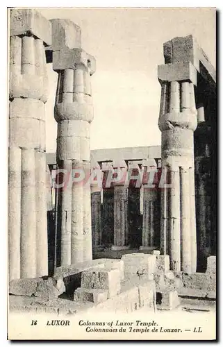 Ansichtskarte AK Egypte Egypt Colonnades du temple de Louxor