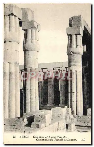 Cartes postales Egypte Egypt Colonnades du temple de Louxor