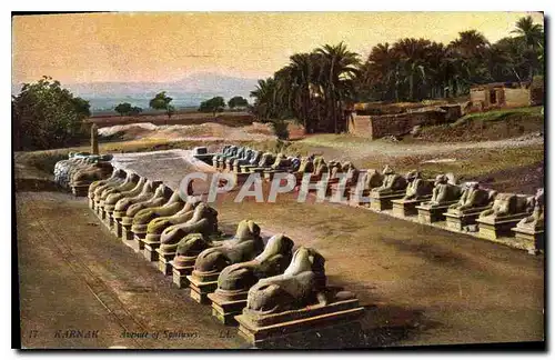 Ansichtskarte AK Egypte Egypt KARNAK - Avenue des Sphinx