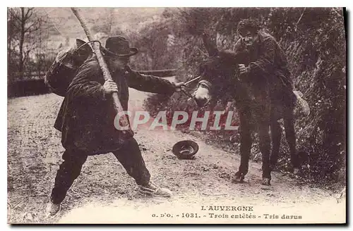 Cartes postales Folklore L'AUVERGNE - 1031 - Trois ent�t�s Trois darus Ane Mule