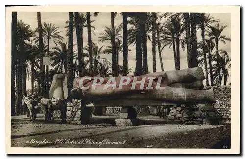 Cartes postales Egypt Egypt Memphis The colossal statue of Ramses II