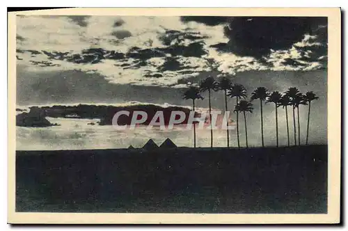 Cartes postales Egypt Egypte  Emergeant de cette terre aristocratique  ou les Pharaons dorment dans leurs pyrami