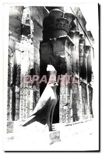 Cartes postales Egypt Egypte Edfou Statue Horus the God of the Temple