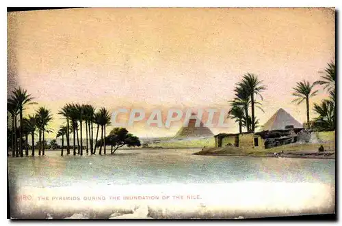 Ansichtskarte AK Egypt Egypte Cairo The Pyramids during the inundation of the Nile