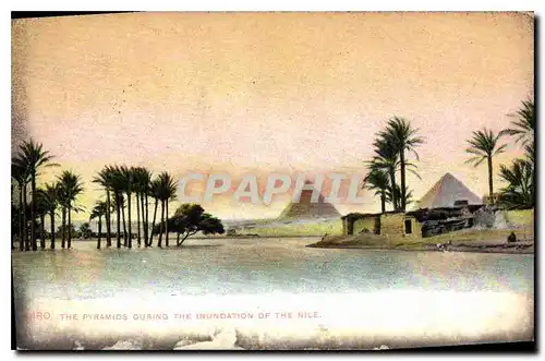 Cartes postales Egypt Egypte Cairo The Pyramids during the inundation of the Nile