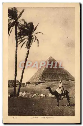 Ansichtskarte AK Egypt Egypte Cairo The Pyramids