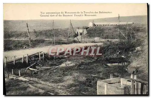 Cartes postales Militaria Vue panoramique du Monument de la Tranchee des Baionnettes