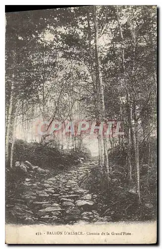 Cartes postales Ballon D'Alsace Chemin de la Grand Piste