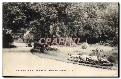 Ansichtskarte AK Nantes Une allee du Jardin des Plantes