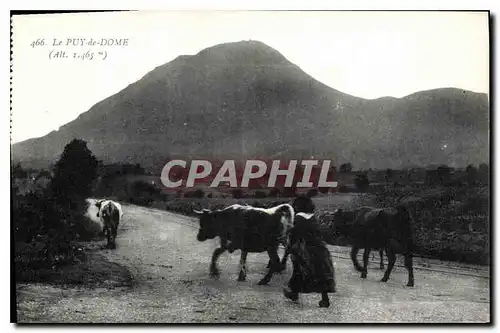 Cartes postales Le Puy de Dome Vache