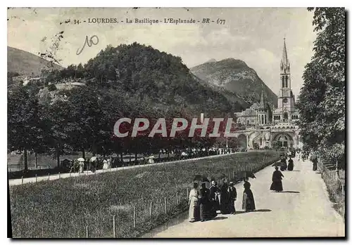 Cartes postales Lourdes La Basilique L'Esplanade