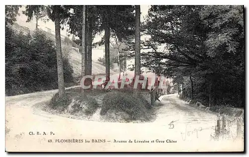 Cartes postales Plombieres les Bains Avenue de Lorraine et Groe Chene