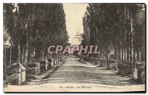 Cartes postales Arles Les Aliscamps