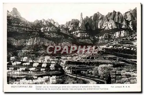 Cartes postales Montserrat Detail de la Montanya Amb els Camps d'Ametllers Florits