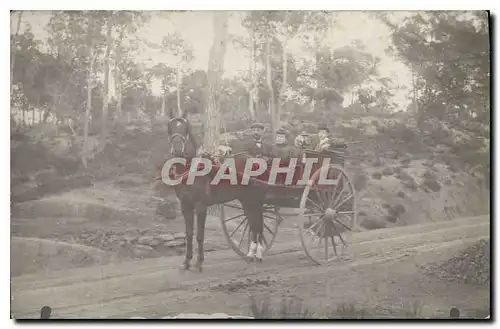 CARTE PHOTO Attelage Cheval