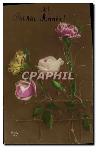 Cartes postales Bonne Annee Fleurs