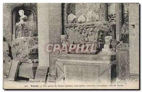 Cartes postales Vienne Une Partie du Musee Lapidaire Antiquites Romalnes Sarcophage tete de faunel