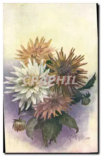 Cartes postales Fantaisie Fleurs