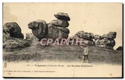 Cartes postales Tregastel Cotes du Nord Le Rocher Elephant