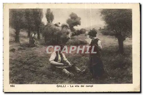 Cartes postales Galli La vita dei Campi