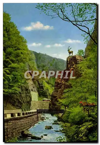 Cartes postales Hirschsprung im Hollental Schwarzwald