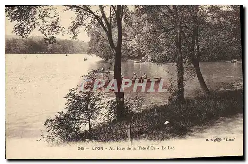 Cartes postales Lyon au Parc de la Tete d'Or Le Lac