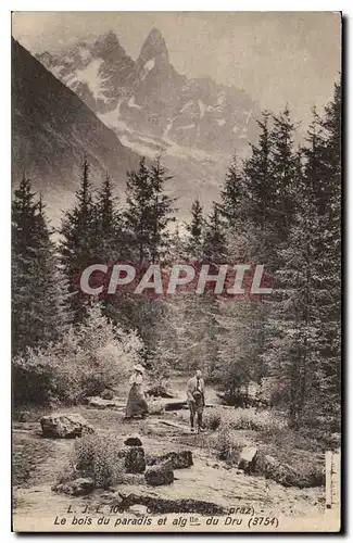 Cartes postales Chamonix Les praz Le bois du paradis et aig du Dru