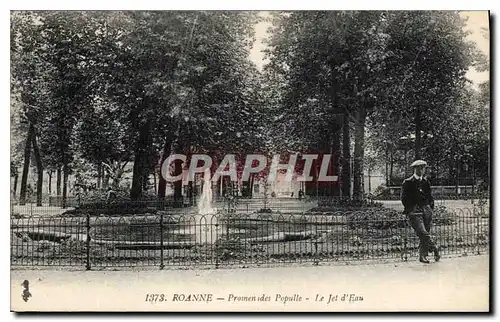 Cartes postales Roanne Promenades Popule Le Jet d'Eau