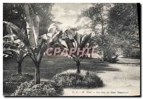 Cartes postales Pau Un coin du Parc Beaumont