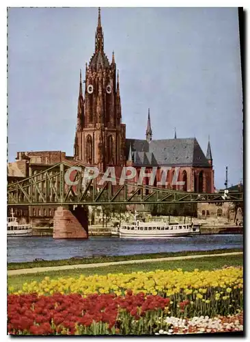 Cartes postales Frankfurt Am Main Mainpartie und Dom