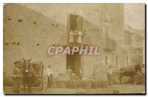 CARTE PHOTO Ferme Attelage Ane Mule